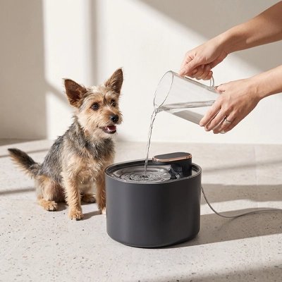 Fontaine a eau Chien | Filtrée Silencieuse