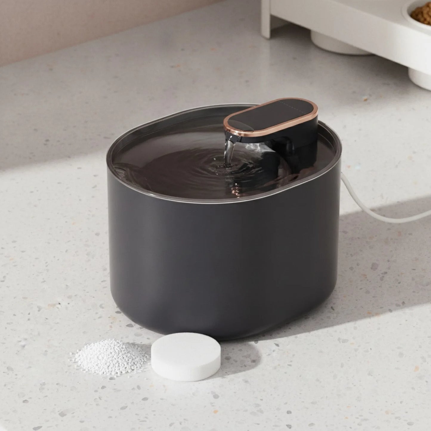 Fontaine à eau automatique pour chien et chat - en situation