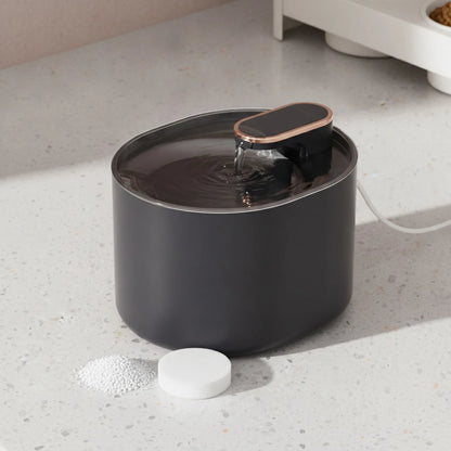 Fontaine à eau automatique pour chien et chat - en situation