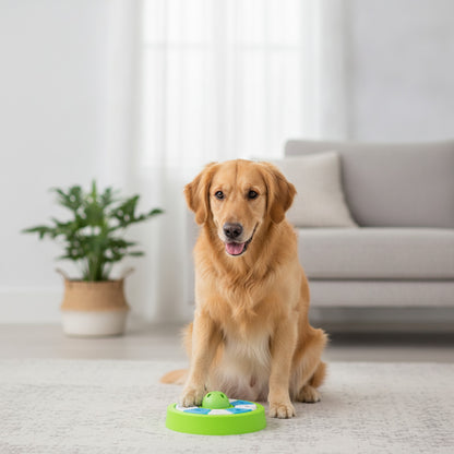Gamelle Puzzle Interactive pour Chiens et Chats