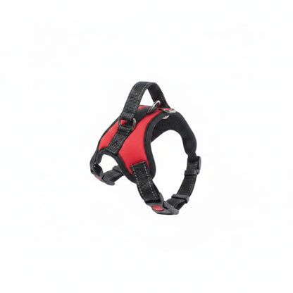 Gant de Bain Doux pour Chien Nettoyage et Massage