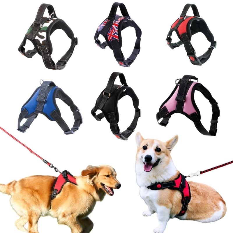 Gant de bain doux pour chien nettoyage et massage - vue de face