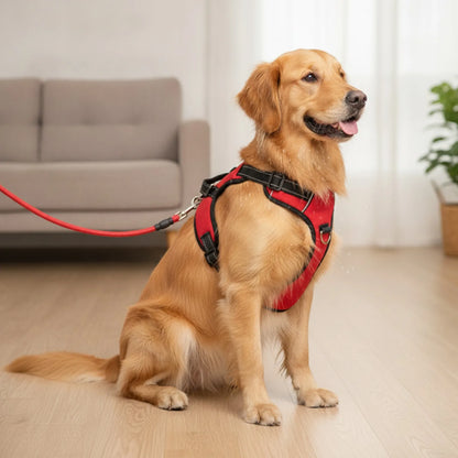 Gant de bain doux pour chien nettoyage et massage - en situation