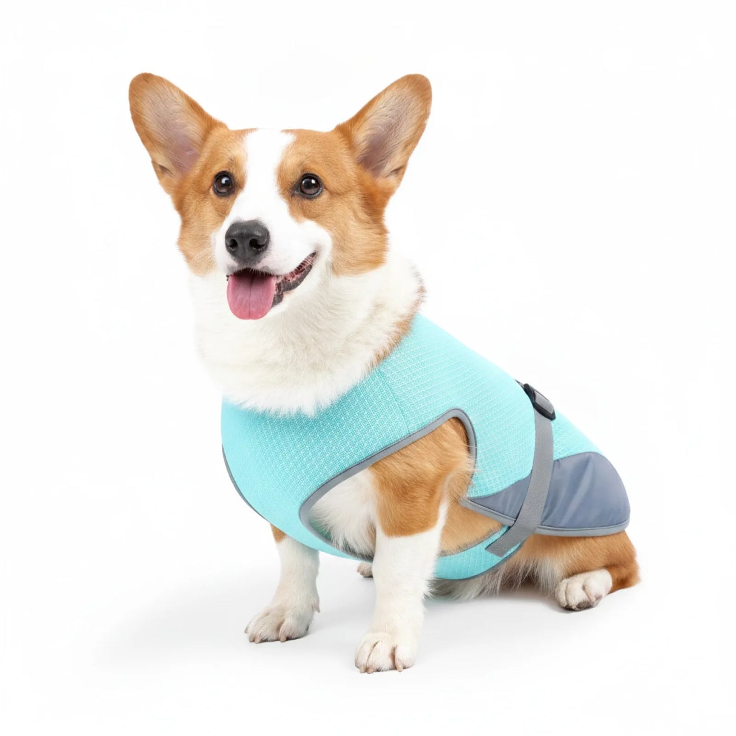 Gilet rafraîchissant chien confort et sécurité été - vue de biais