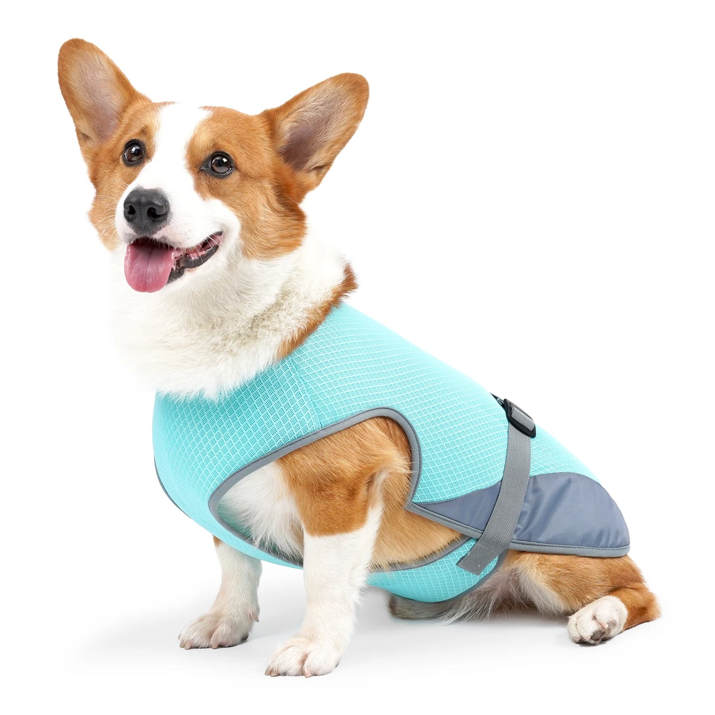 Gilet rafraîchissant chien confort et sécurité été - vue de face