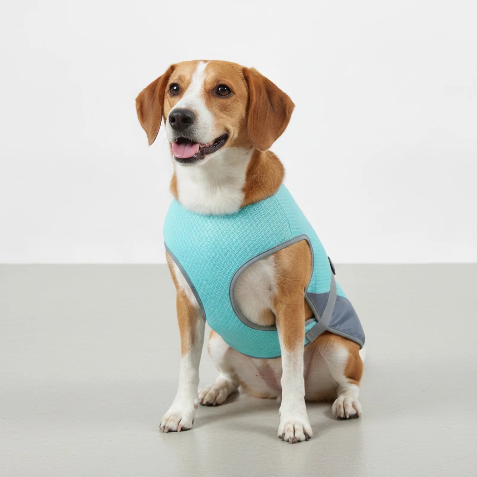 Gilet rafraîchissant chien confort et sécurité été - en situation