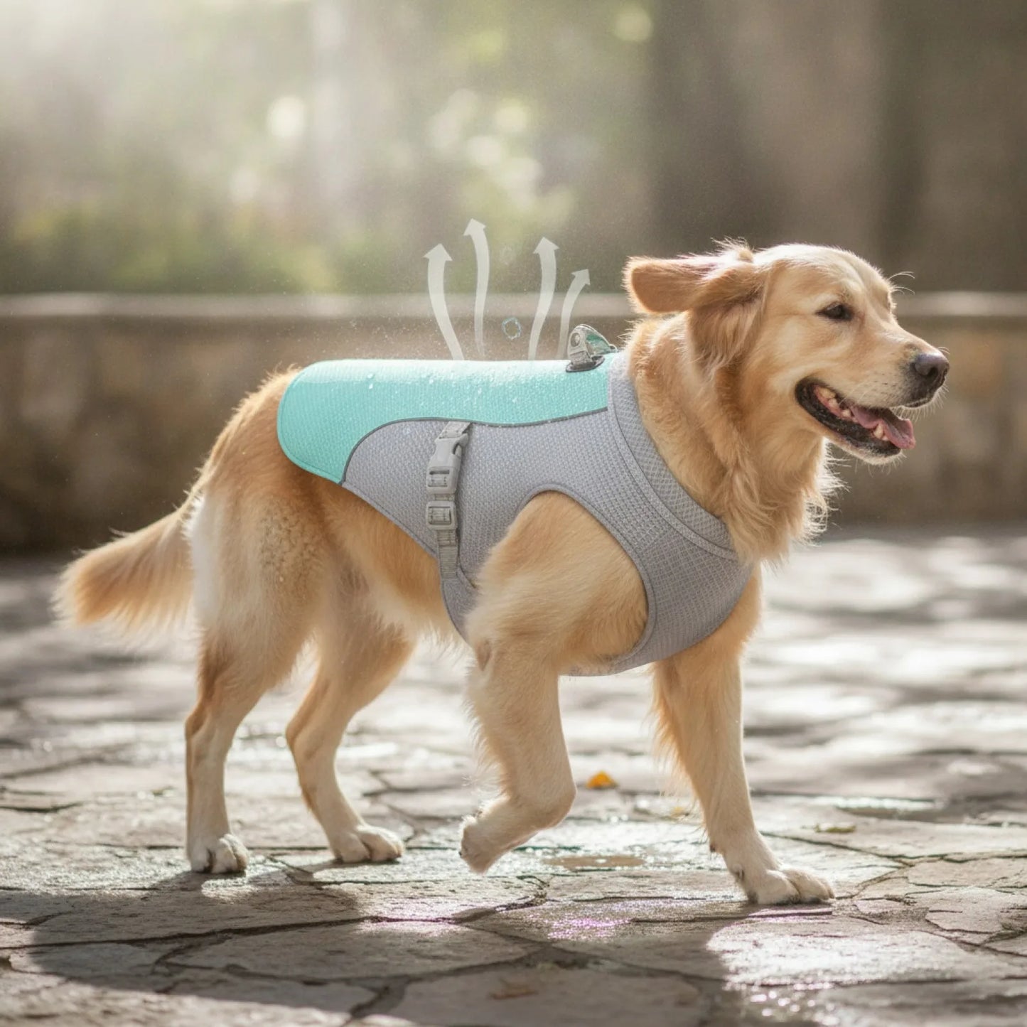 Gilet rafraîchissant chien harnais intégré - vue de biais