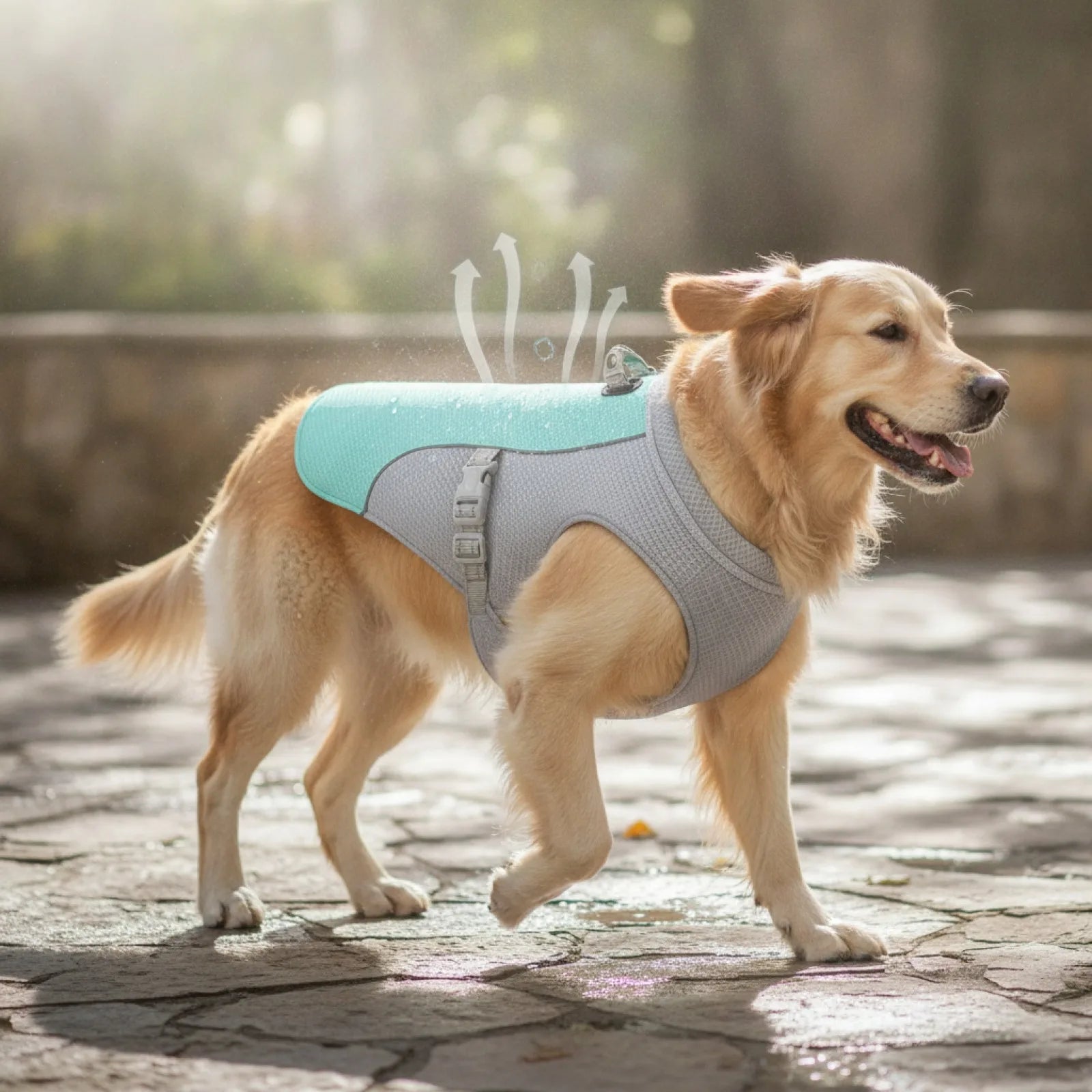 Gilet rafraîchissant chien harnais intégré - vue de biais