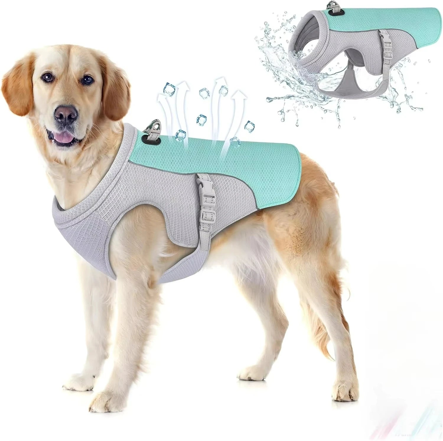 Gilet rafraîchissant chien harnais intégré - vue de face