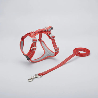 Harnais anti-traction chien confort et sécurité - détail