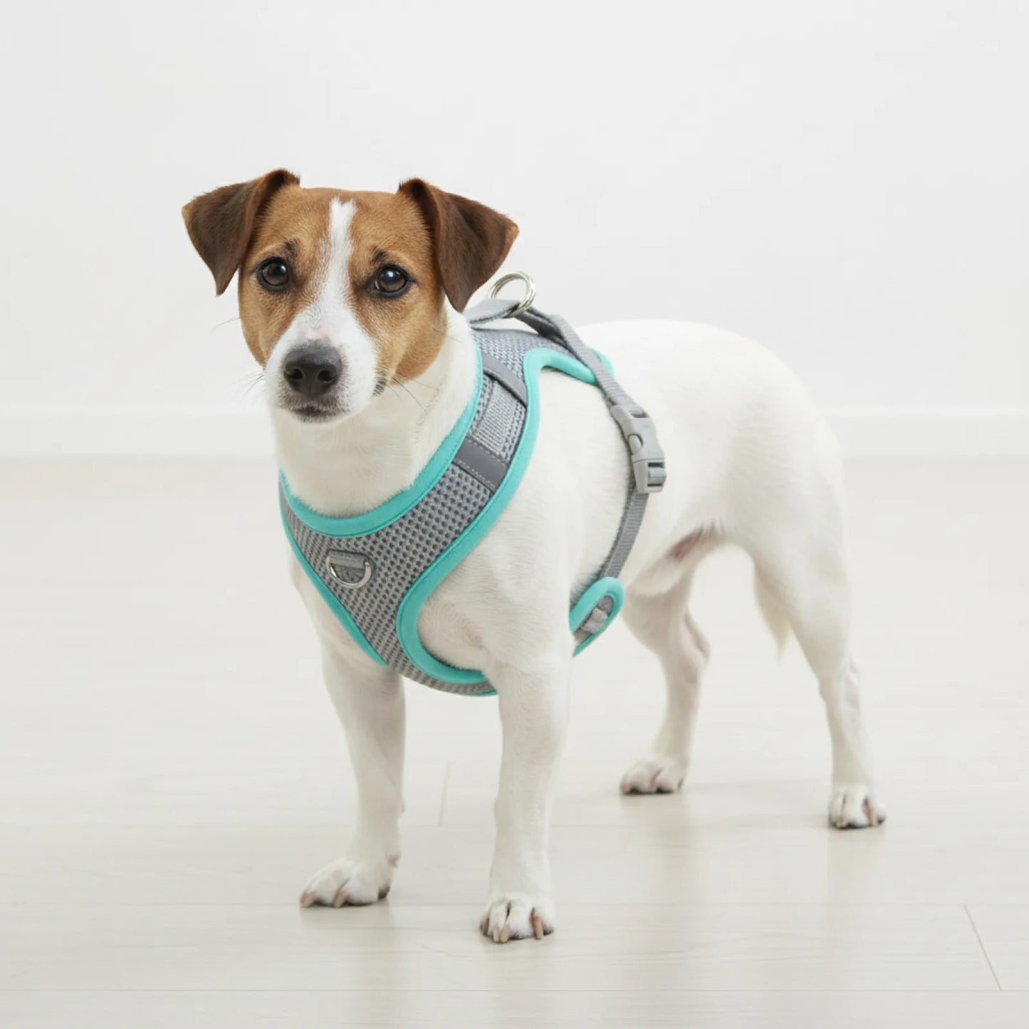Harnais chien chat réfléchissant respirant - détail
