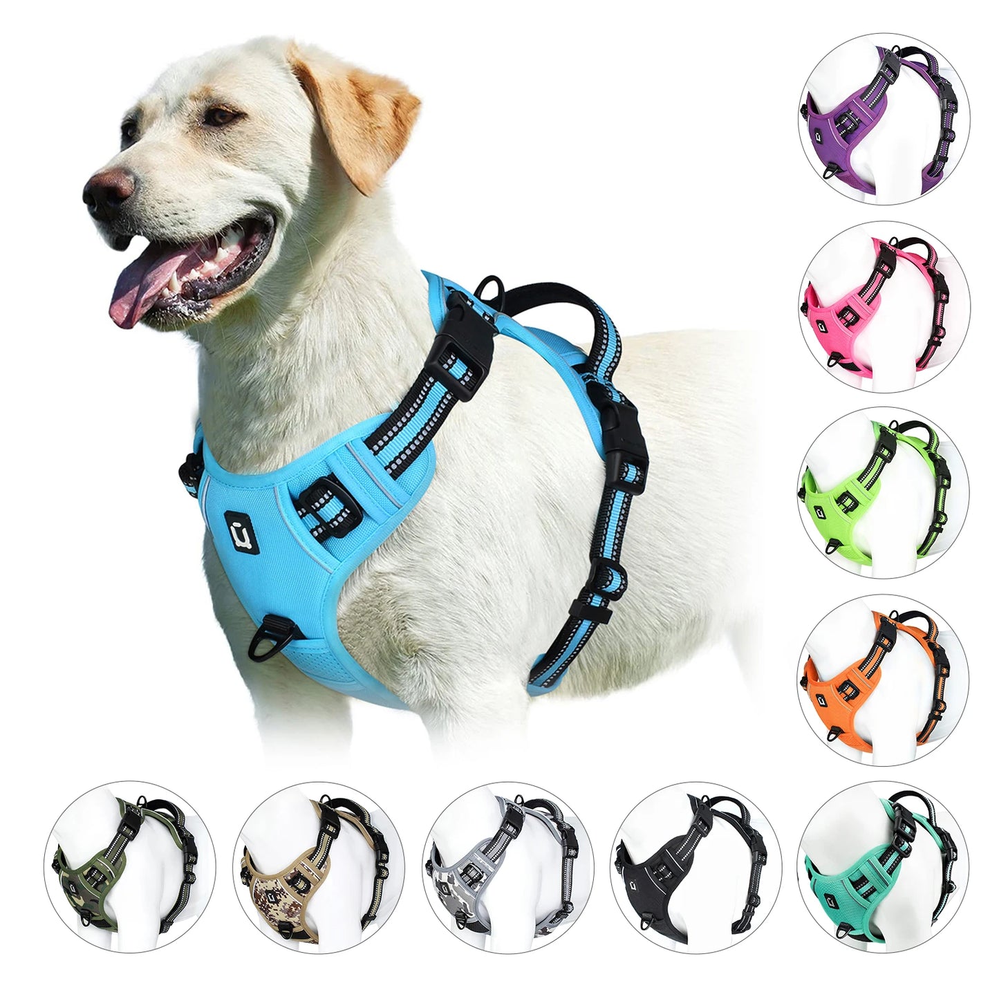 Harnais confort pour chien douceur et sécurité - vue de face