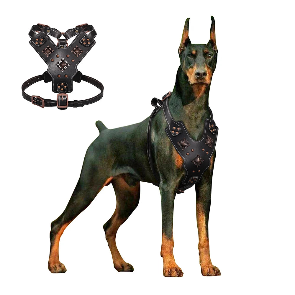Harnais cuir grand chien – vue packshot sur fond ivoire