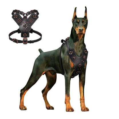 Harnais cuir grand chien – vue packshot sur fond ivoire