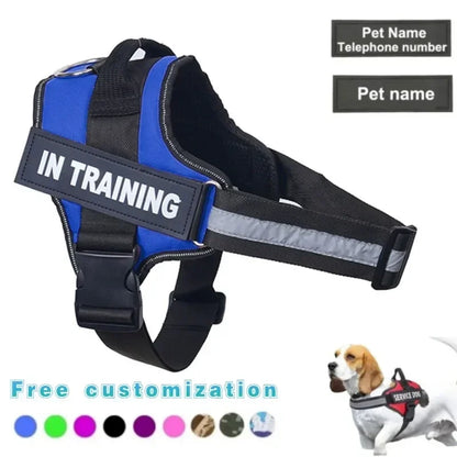 Harnais chien anti-traction personnalisable et réfléchissant - vue de face