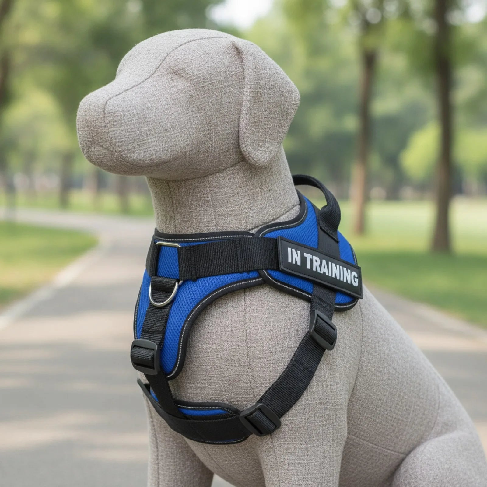 Harnais chien anti-traction personnalisable et réfléchissant - en situation