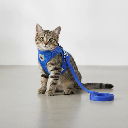 Harnais Chat Réfléchissant Anti-Fugue