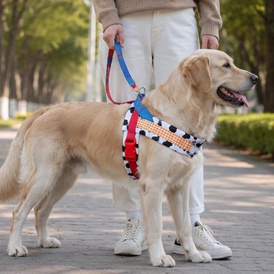Harnais pour Chien | Confort Premium