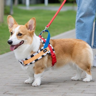 Harnais pour Chien | Confort Premium
