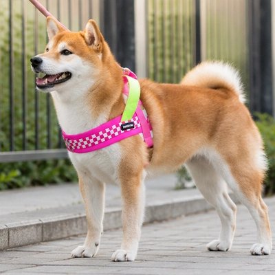 Harnais pour Chien | Confort Premium