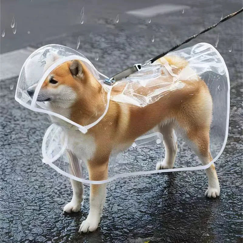 Imperméable transparent pour chien – vue packshot sur fond ivoire
