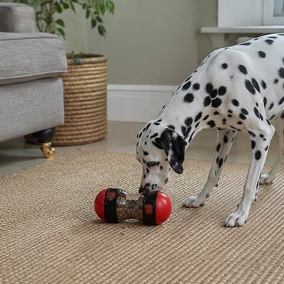Jouet Chien | Ultra-résistant