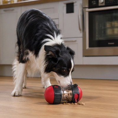 Jouet Chien | Ultra-résistant