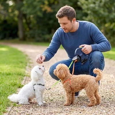 Laisse double pour Chien | Confort et Contrôle