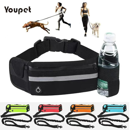 Laisse mains-libres nylon pour chien - vue de face