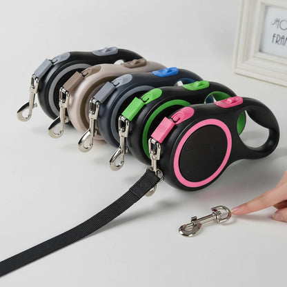 Laisse rétractable 8m pour chien - en situation