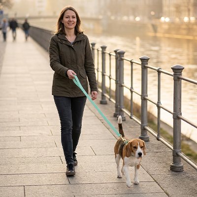 Longe pour Chien | Robuste et Confortable