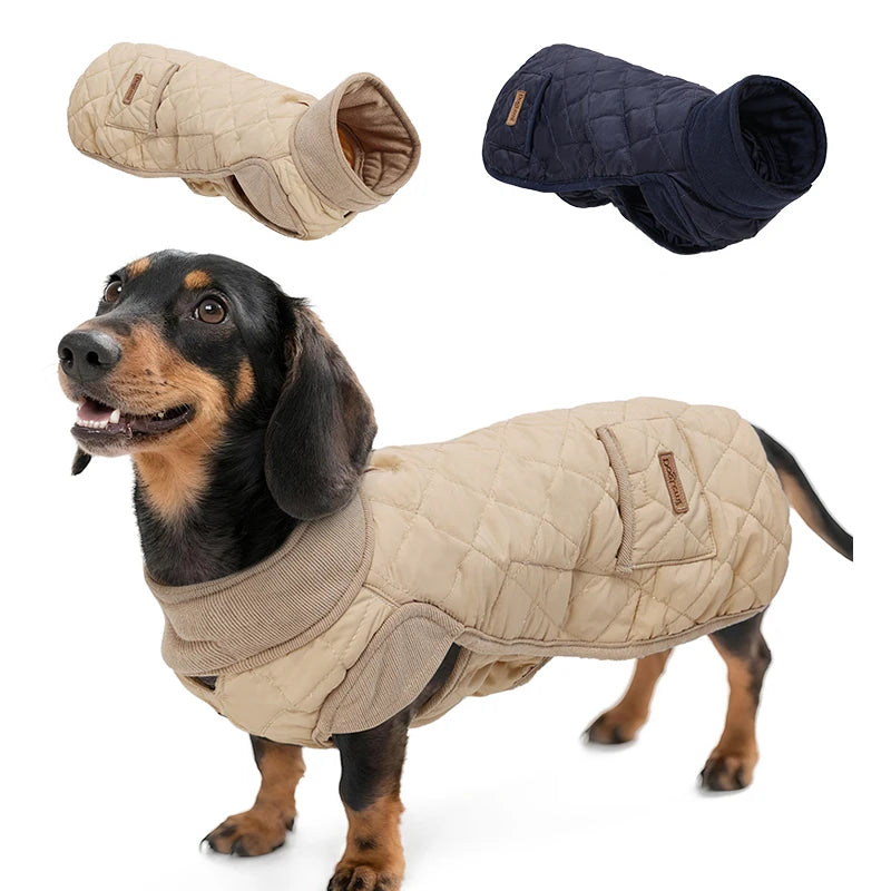 Manteau hiver pour teckel – vue packshot sur fond ivoire