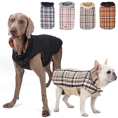 Manteau imperméable pour chien – vue packshot sur fond ivoire