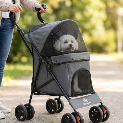 Poussette chien | Confort & Sécurité