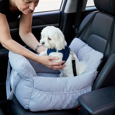 Siege auto pour chien | Sécurisé et Confortable
