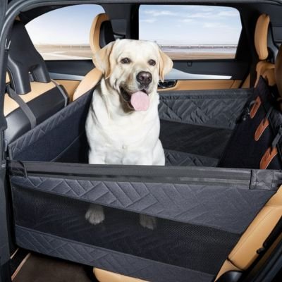 Siege auto pour chien | Sécurisé Confort
